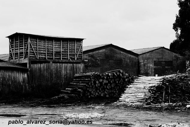 HORREO, NAVE Y MADERA (blanco y negro) 