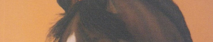 Imagen de portada