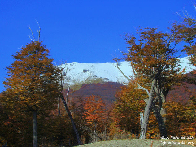 Isla de Tierra del Fuego Naturaleza Color (Digital)