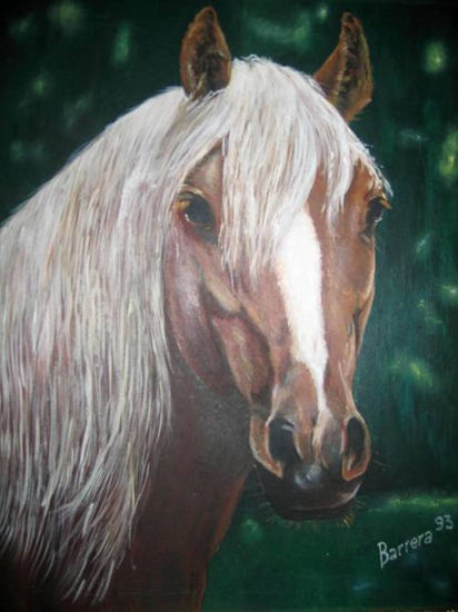 CABALLO Oil Canvas Animals