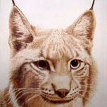 pirograbado - animales thumbnail 1