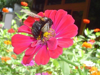 Naturaleza