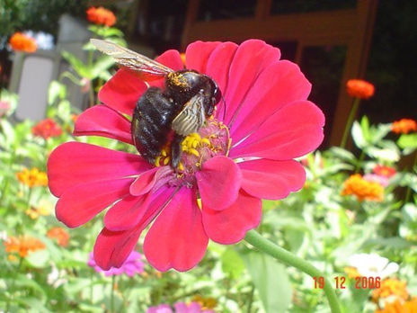 Naturaleza