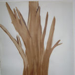 Pinturas thumbnail 1