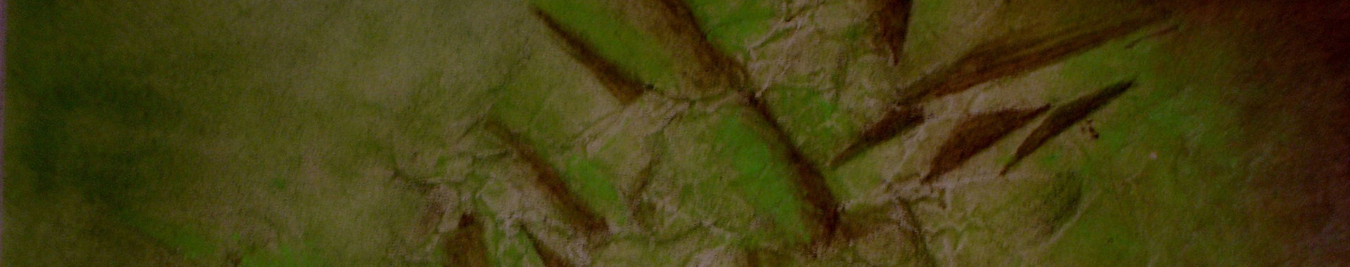 Imagen de portada