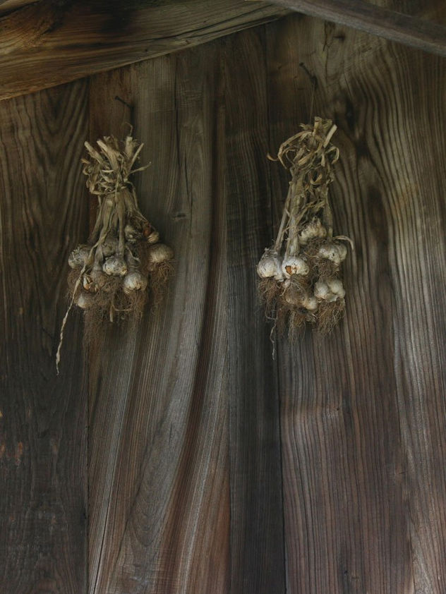 Ajos (Valdesoto, Asturias)