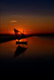 uomo_di_mare
