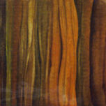 selvas thumbnail 2