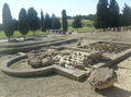 italica