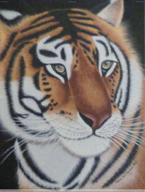 Tigre