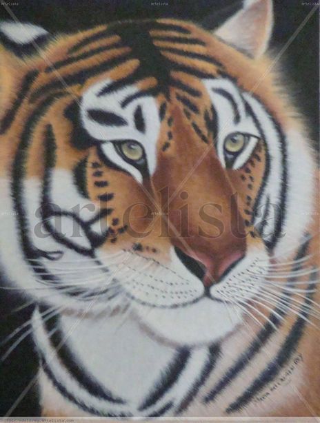 Tigre