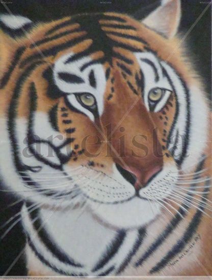 Tigre Acrylic Canvas Animals