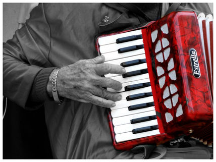 Acordeon