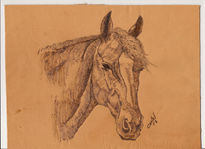 Caballo2