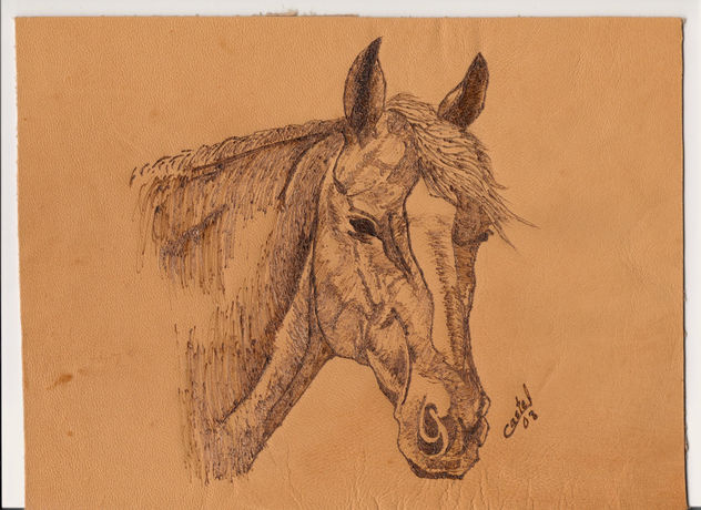 caballo2