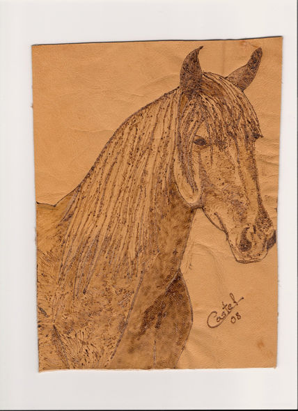Caballo 3