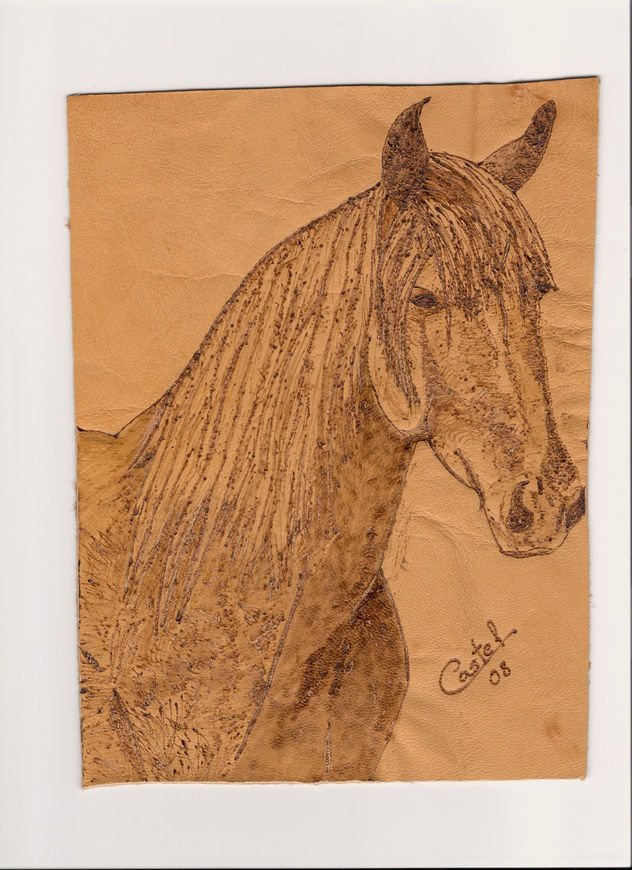 caballo 3
