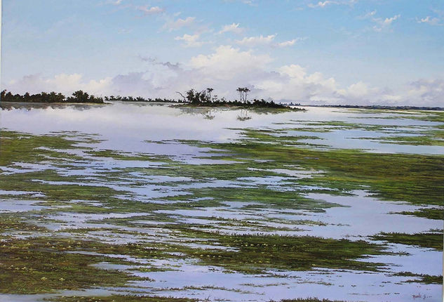 CIENAGA JESUS DEL RIO Oil Canvas Landscaping