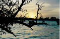 Atardecer, cayo muerto Edo.Falcon, Venezuela