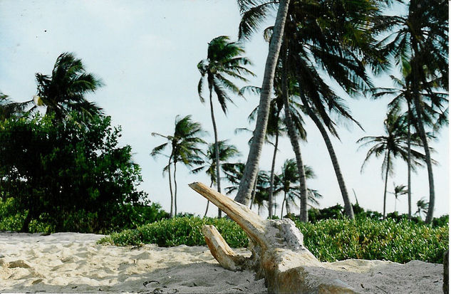 Cayo sal, Venezuela 