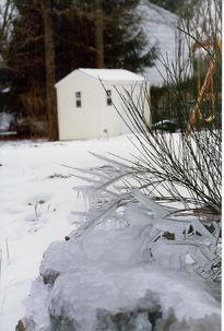 Frozen weed