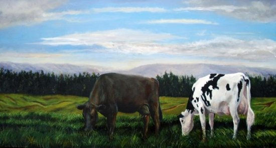 Holstein y Jersey 