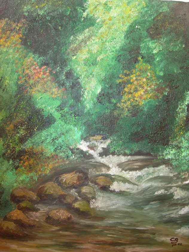 RIACHUELO