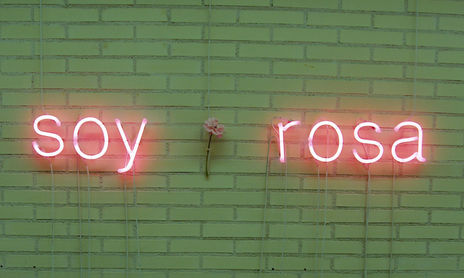 El nombre de la rosa