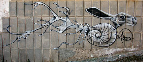 Caracol mutado