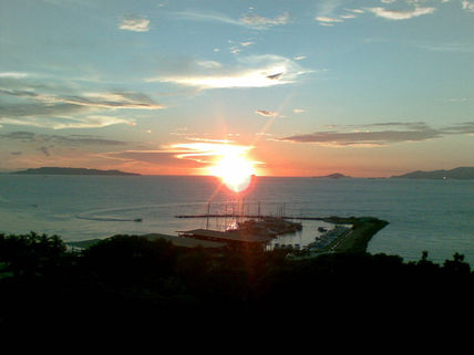 Sol de mis amores