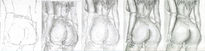 5 fases dibujo desnudo