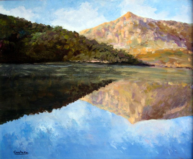 EL REFLEJO DEL PANTANO Óleo Lienzo Paisaje