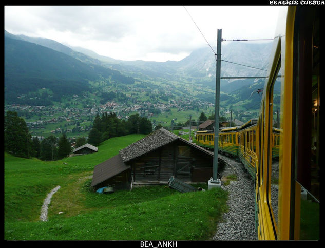 Grindelwald 