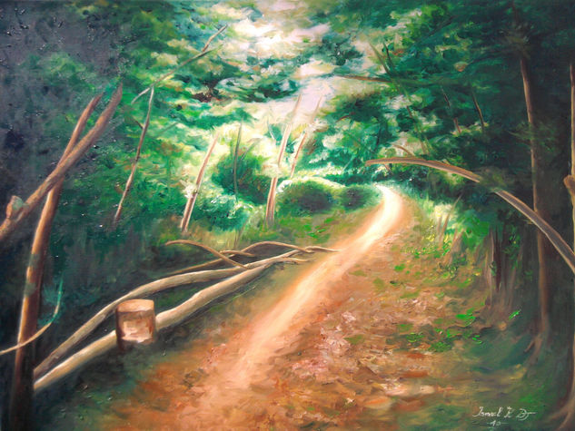 Paisagem Minha Oil Canvas Landscaping