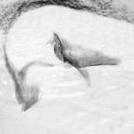 Monocromos thumbnail 1