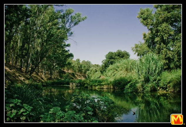 Alcala de Guadaira_1 Nature Color (Digital)