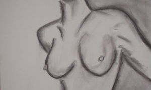 Desnudos