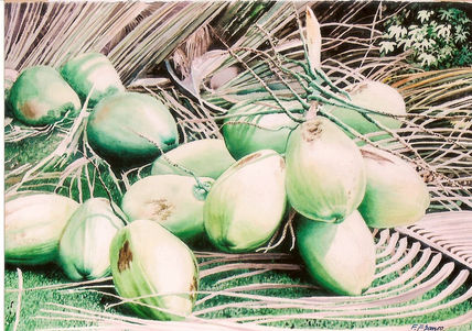 Cocos