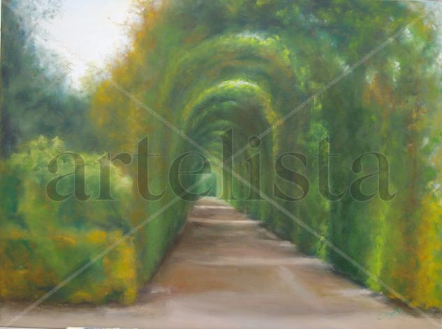 vereda Oil Canvas Landscaping