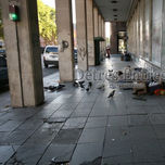 Fotoperiodismo thumbnail 2