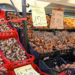 Gastronomía thumbnail 1