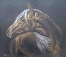 Caballo arabe 2