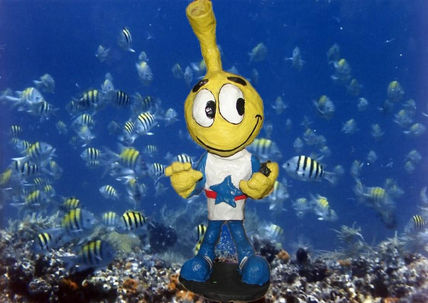 Snorkels 2
