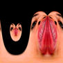 Fractales Vaginales (serie)
