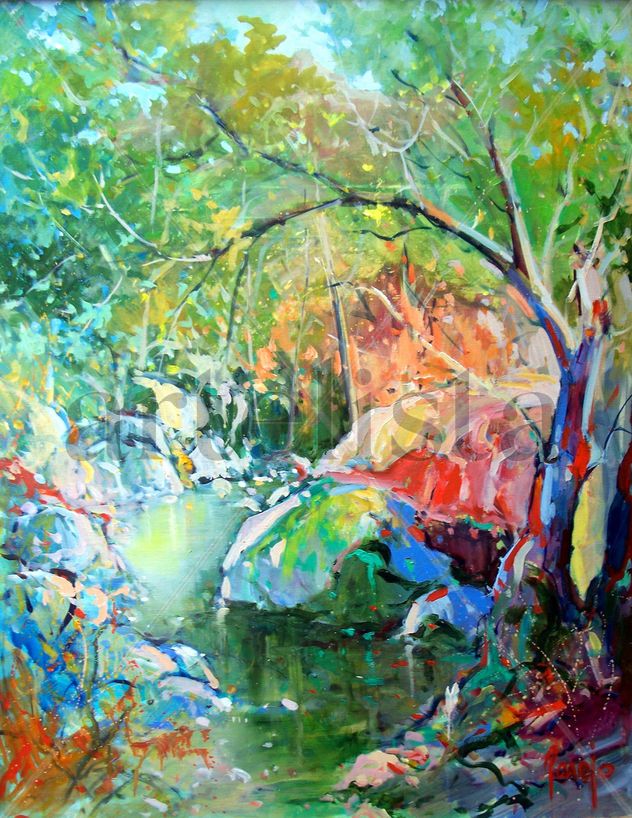 El arbol de los Lloros (olivo magico)