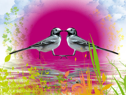 El jardin del amor...