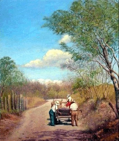 camino soleado