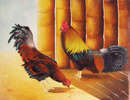 Gallos