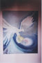 Aguila