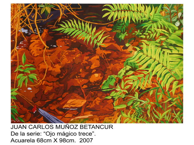 OJO MAGICO TRECE(de la serie Ojo Màgico) Oil Canvas Landscaping